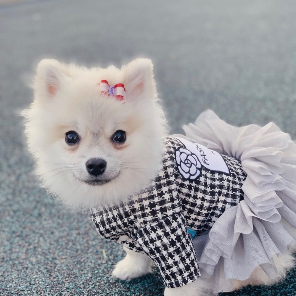 COCO chewnel tweed Camellia flower dog dress